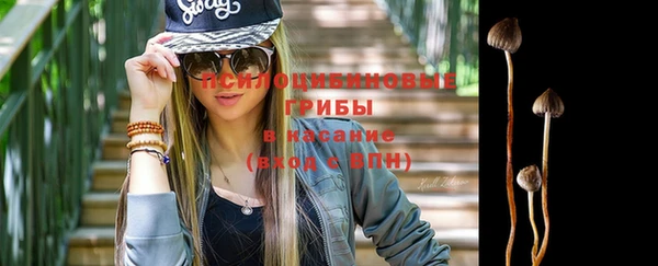 ГАЛЛЮЦИНОГЕННЫЕ ГРИБЫ Нягань