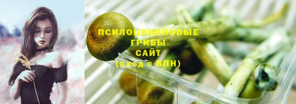 ГАЛЛЮЦИНОГЕННЫЕ ГРИБЫ Нягань