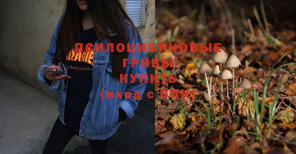 дурь Михайловка