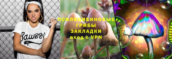 Альфа ПВП Осташков