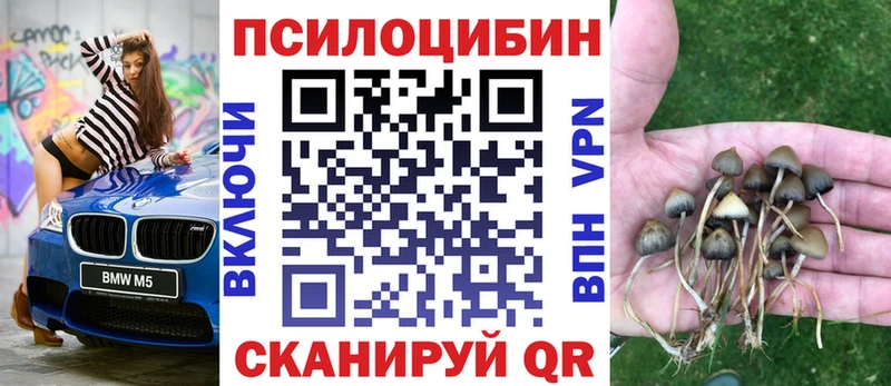 закладка Иннополис Псилоцибиновые грибы ЛСД